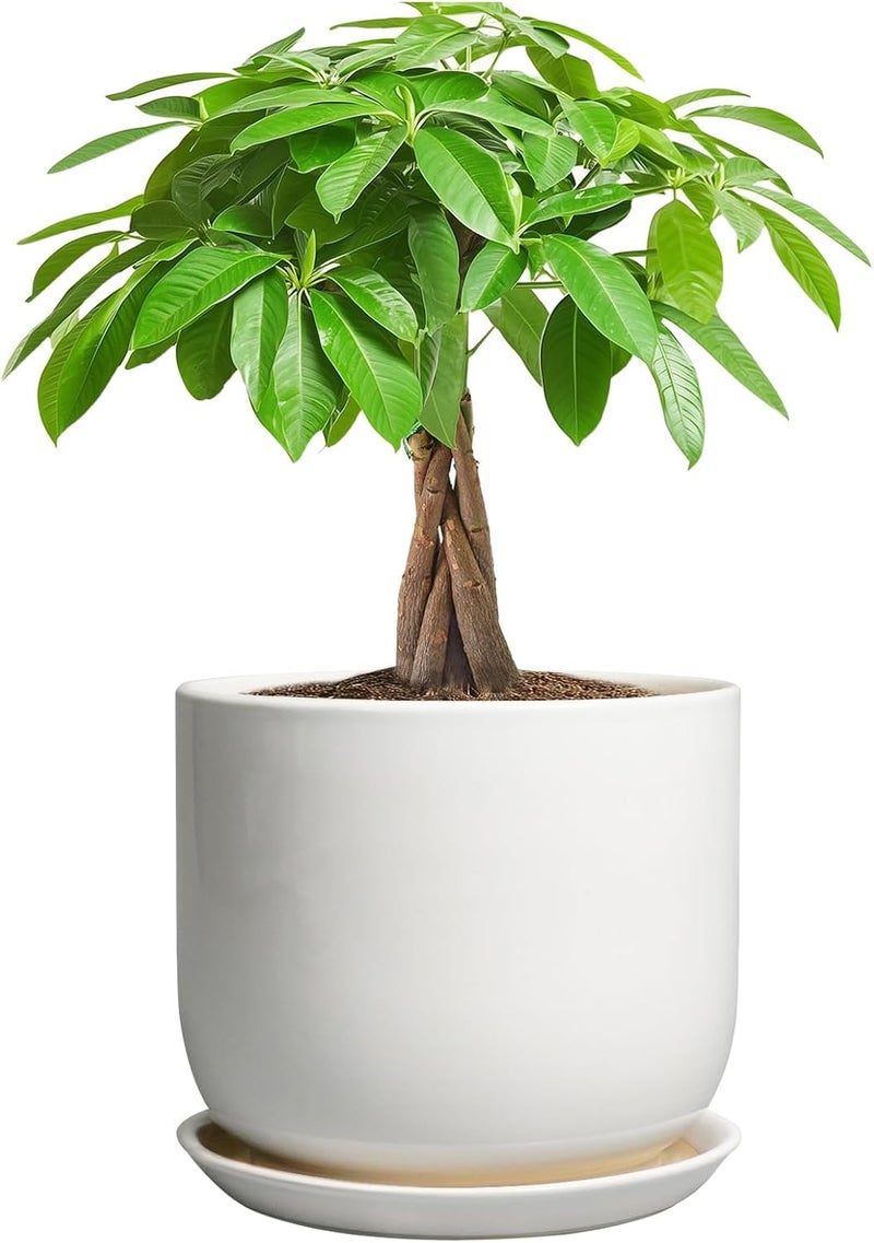 SUNPOTFOR Store Ceramic Pot for Plants 7 Inch - Modern Round Indoor Outdoor Planter with Drainage Hole and Saucer, Home House Office Room Decor, White - Image 1